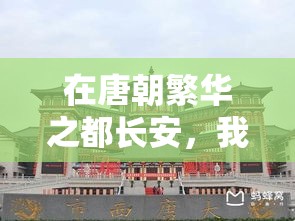 在唐朝繁华之都长安，我所经营的酒肆——古城中的品味之地。暢酌琼浆，聆听千年故事。